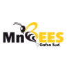 MnBees Gafsa - Gafsa Sud