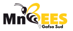 MnBees Gafsa - Gafsa Sud